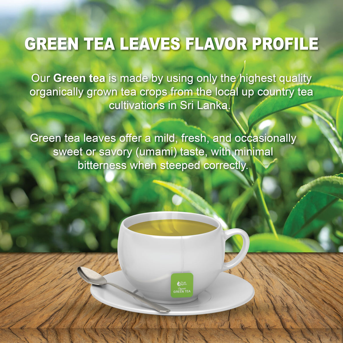 True Organic green tea provides a clean, vibrant cup suitable for daily rituals.