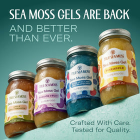 TrueSeaMoss gel ingredient blend close-up showing pineapple puree and texture