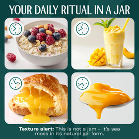 TrueSeaMoss gel glass jar closeup conveys premium packaging and freshness.