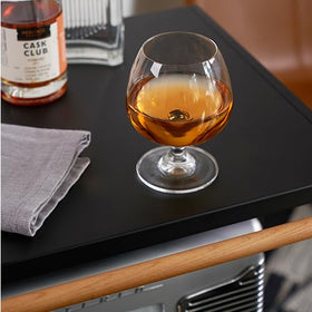 Dishwasher-safe TRUE snifter glass for easy cleaning