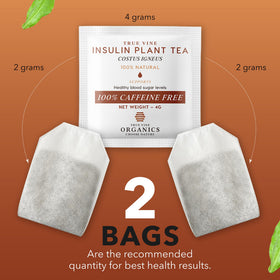 True Vine Insulin Plant Tea cup steeping for a comforting brew