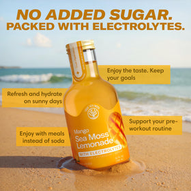 TrueSeaMoss electrolyte lemonade bottle emphasizes electrolyte infusion.