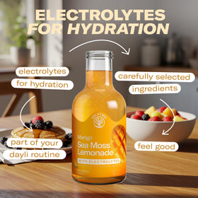 TrueSeaMoss electrolyte lemonade bottle label highlights no added sugar.