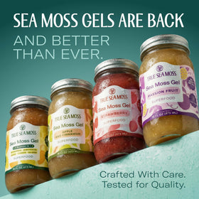 Close-up of TrueSeaMoss gel texture with apple and cinnamon