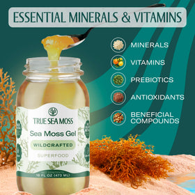 TrueSeaMoss sealed glass jar showing packaging for freshness