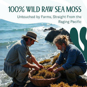 TrueSeaMoss kitchen versatility suggests culinary and DIY uses.