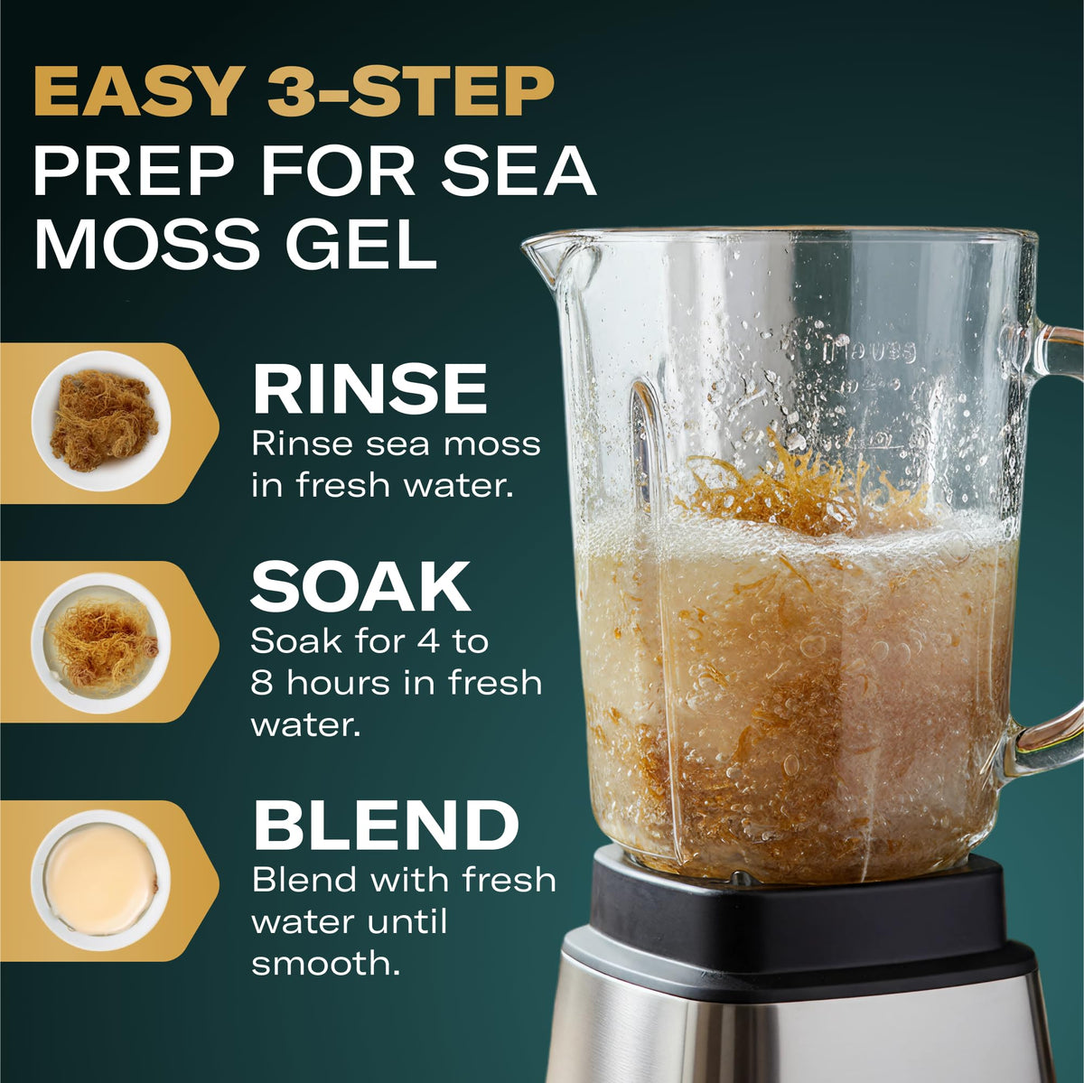 TrueSeaMoss mineral-rich sea plant close-up for natural flavor in recipes.