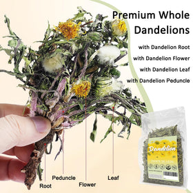Handpicked dandelion harvest from T'SMOMENT highlights fresh herbal quality