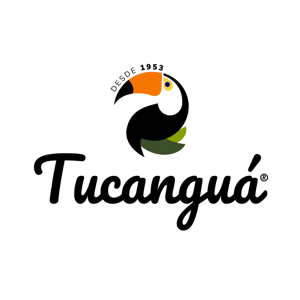 Tucangua Organic Yerba Mate ready-to-use ritual scene for home or café