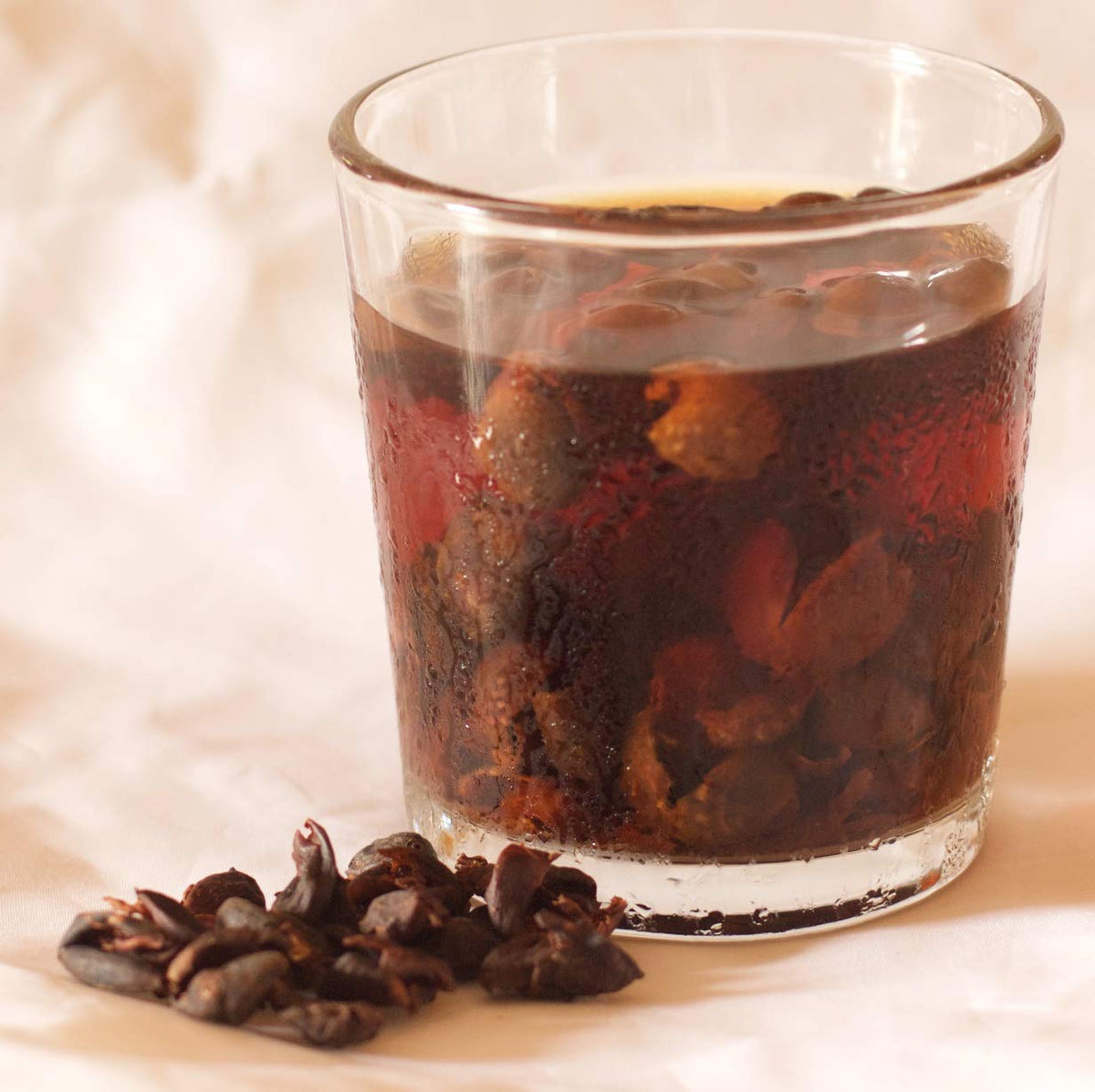 Twin Engine Coffee cascara bulk packaging ready for home use