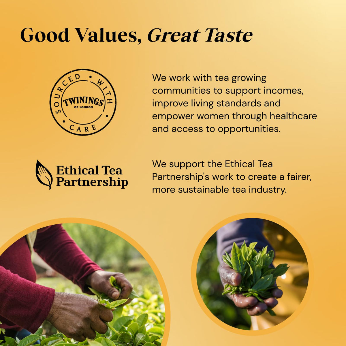 Twinings 1706 Strong Breakfast includes Kenyan teas from east of the Great Rift Valley for bright notes