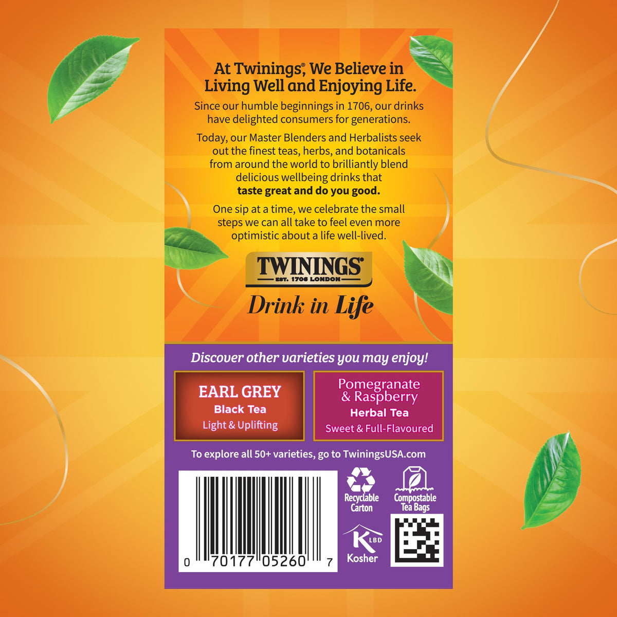 Back of Twinings Blackcurrant Breeze packaging with brewing tips