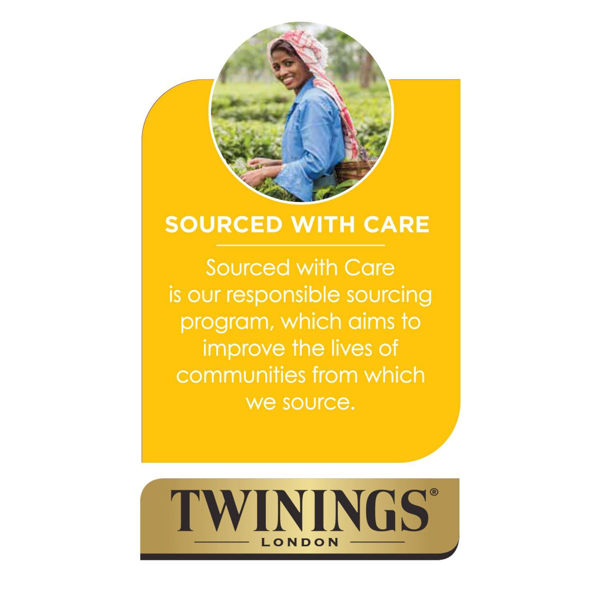 Twinings Darjeeling tea moment, a refined ritual for everyday calm.