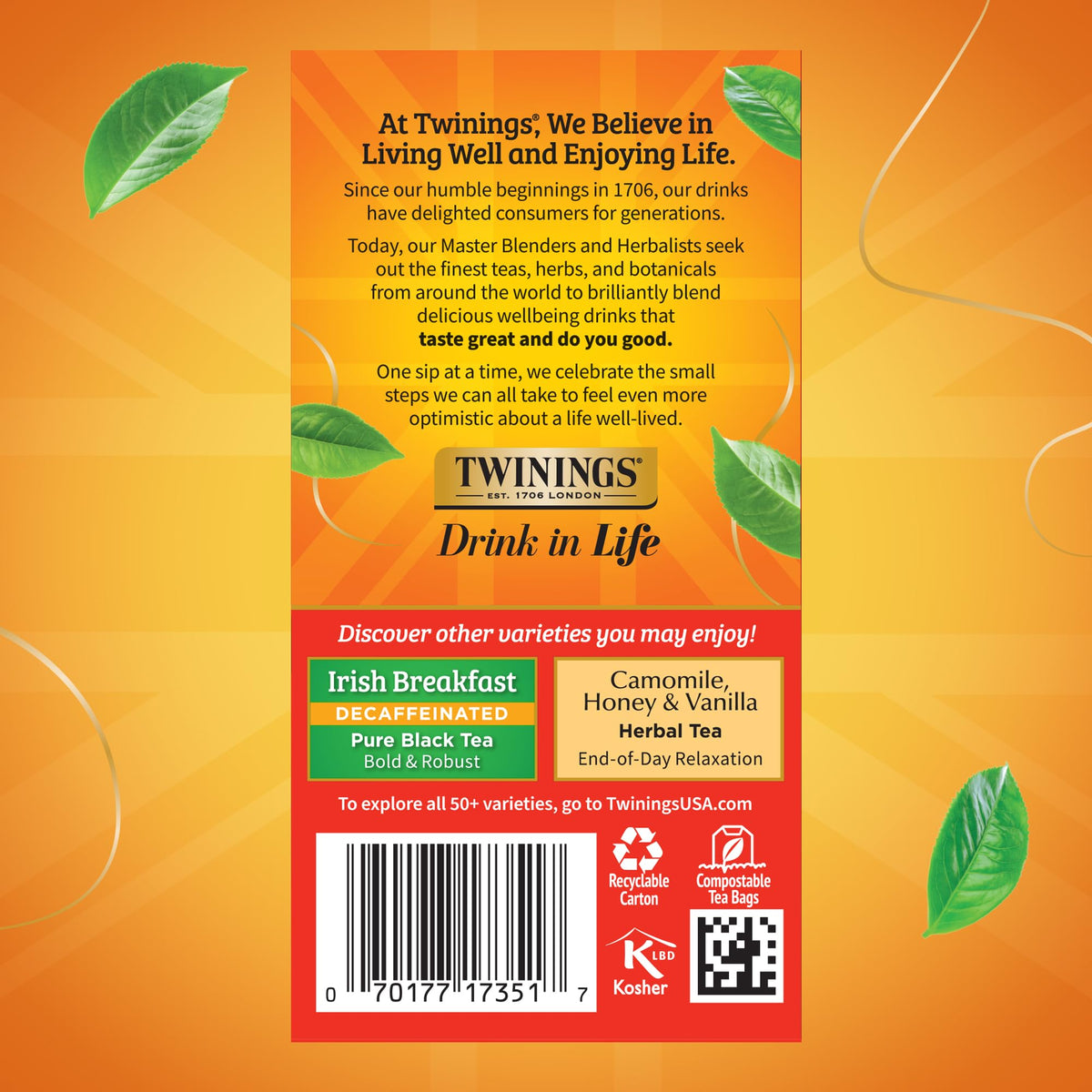 Close-up of packaging showing individually sealed tea bags for freshness