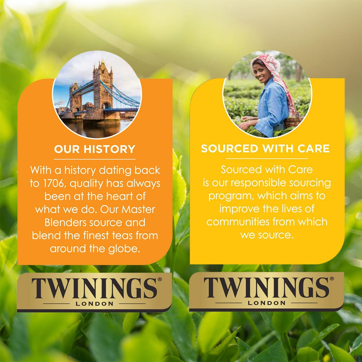 Two-box pack of 24 pods each for family tea moments.