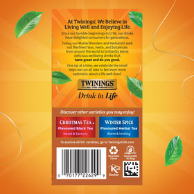 Twinings Gingerbread Joy festive packaging conveys a gift-ready holiday tin