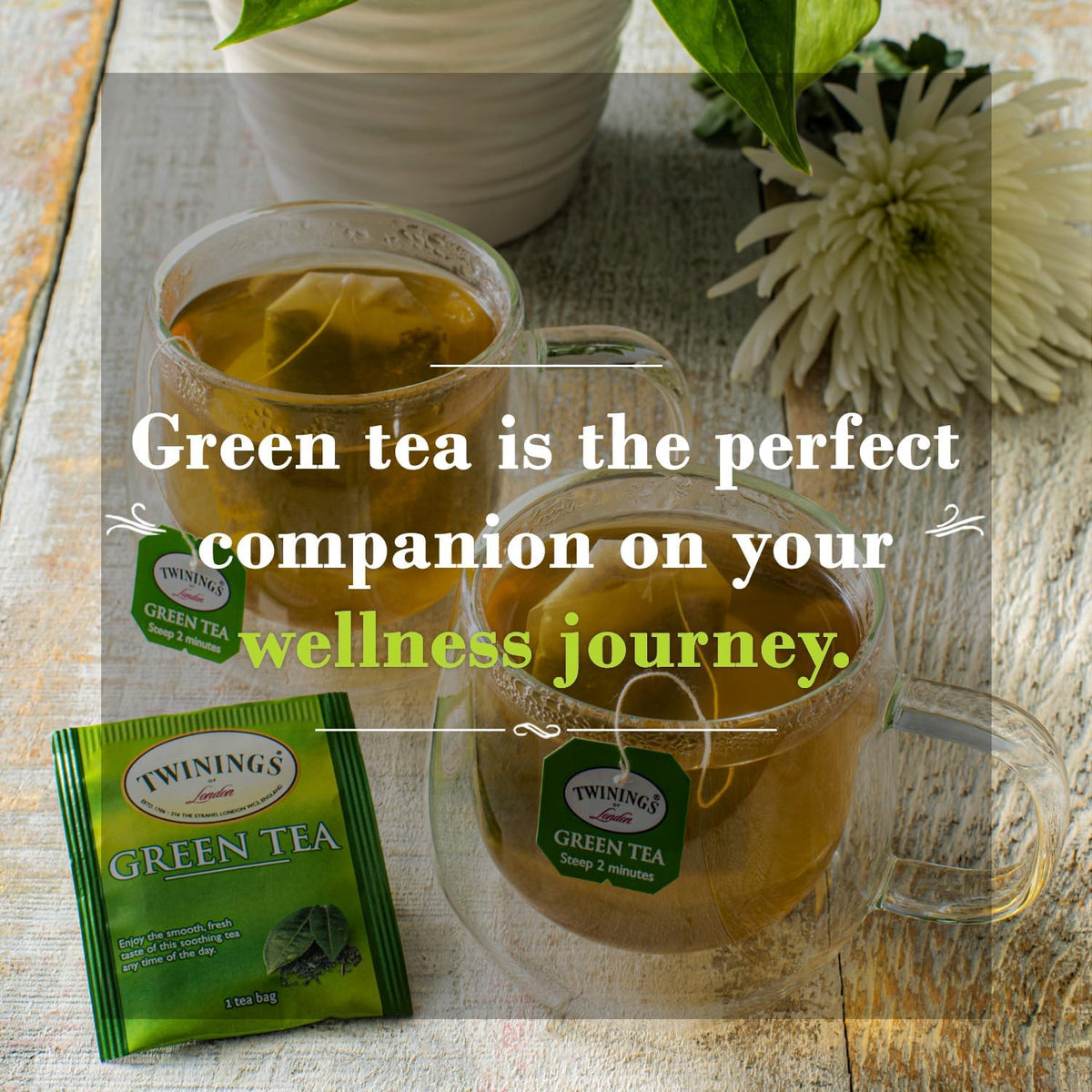 Twinings Green Tea Bags iced tea idea for a refreshing cold beverage