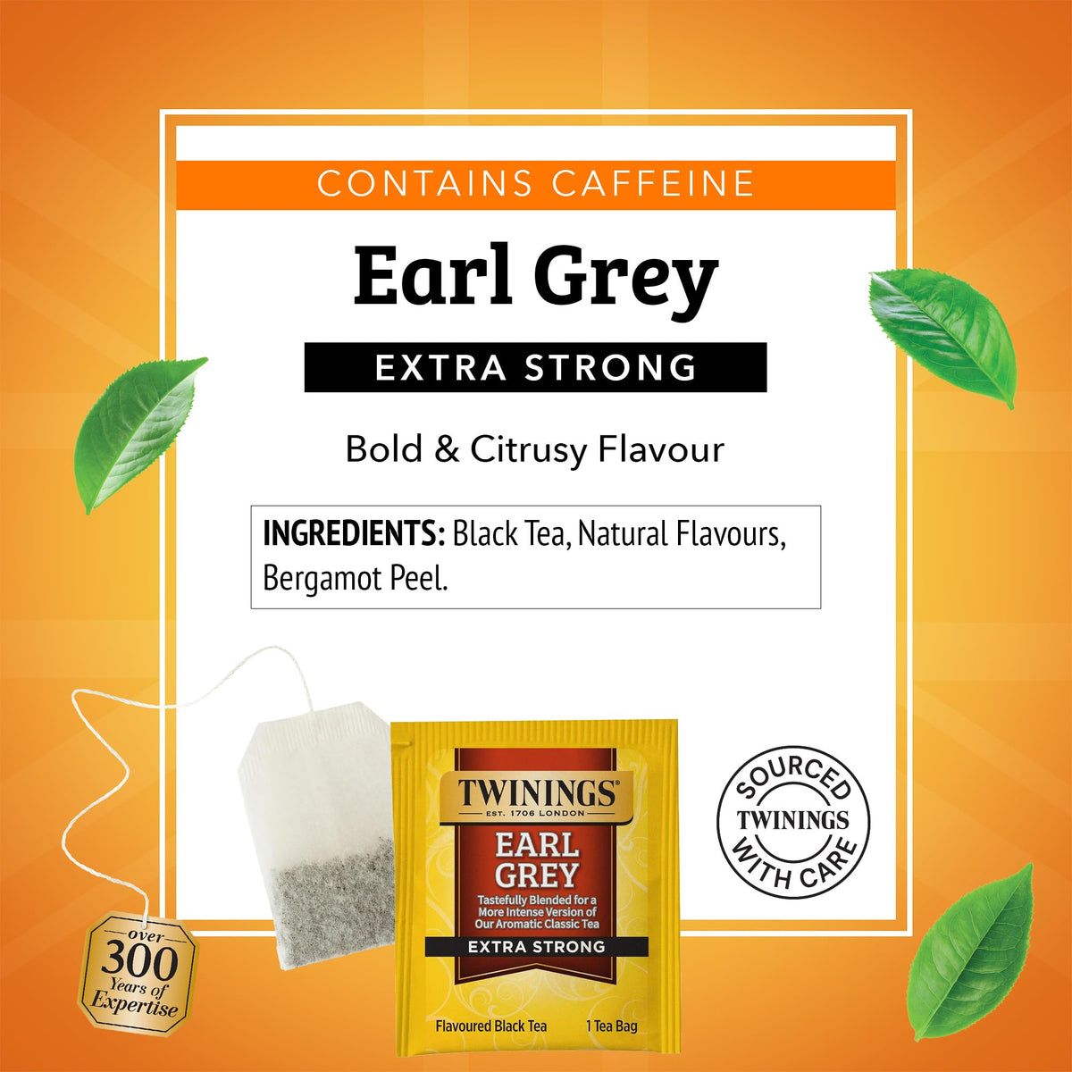 Hot or iced Twinings Earl Grey Extra Strong brewing setup