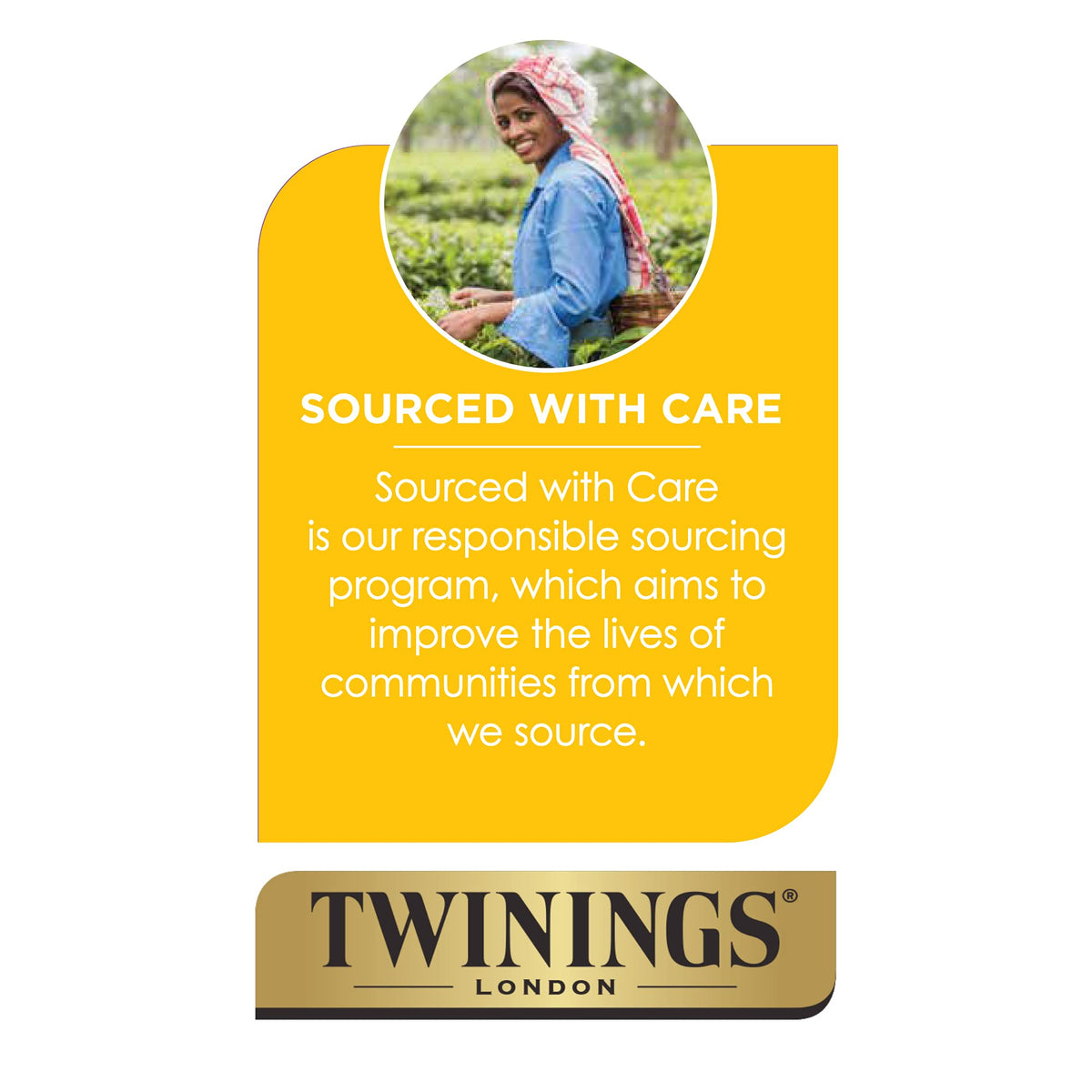 Twinings tea being poured over ice for iced tea.