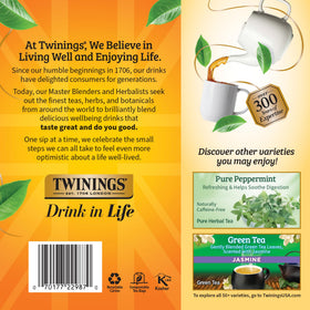 Tall iced glass of Twinings Lemon & Ginger tea for a refreshing sip.