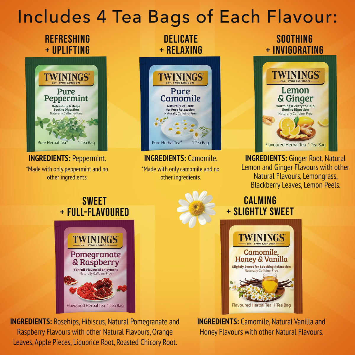 Twinings Orange & Cinnamon Spice tea bag with warm citrus-spice notes