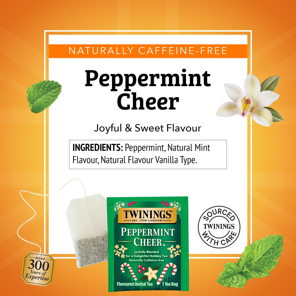 Twinings Peppermint Cheer pack-front image showing value for seasonal gifting.