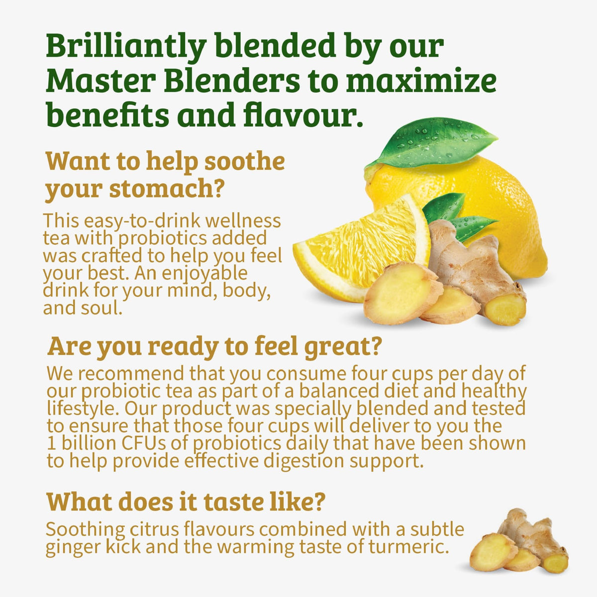 Twinings Probiotics+ Lemon & Ginger tea iced cup showing versatility for cold serving.