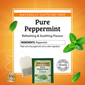Chilled Twinings peppermint tea served over ice for a refreshing, caffeine-free sip