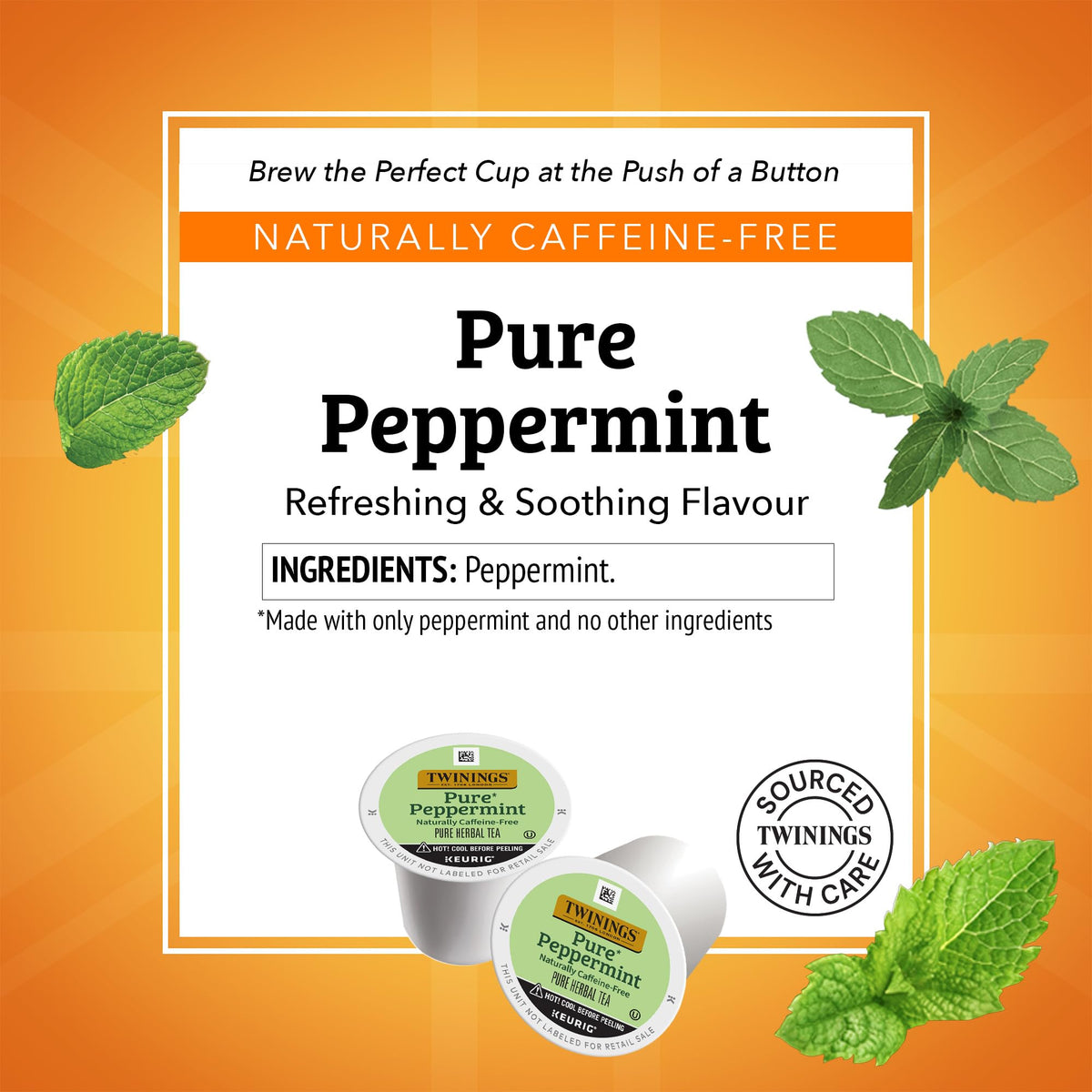 Twinings Pure Peppermint tea K-Cup pods packaging for quick single-serve servings