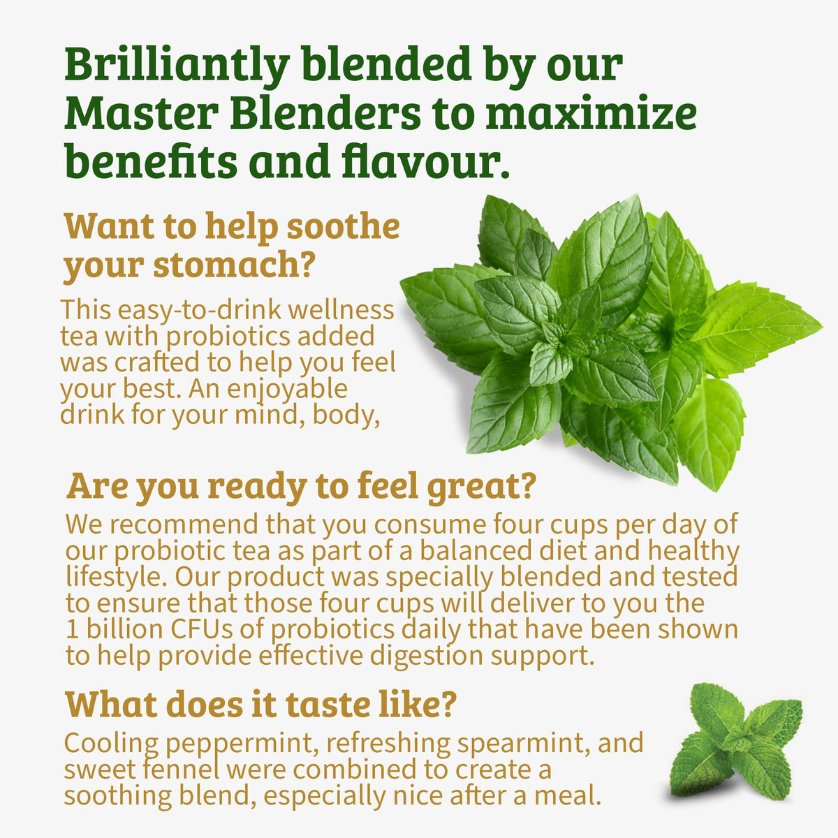 Twinings sustainability packaging scene emphasizing responsible sourcing.