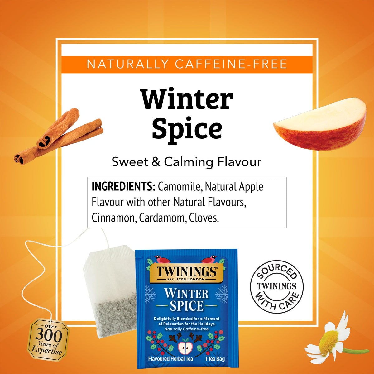 Twinings Winter Spice Tea sachets close up highlighting on the go freshness