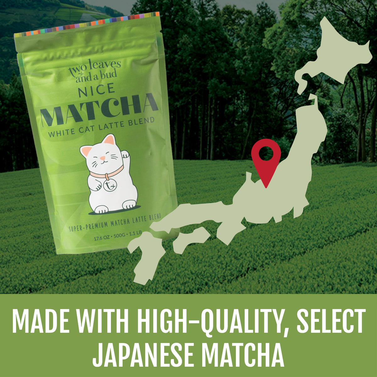 Two Leaves and a Bud Nice Matcha Latte iced latte, refreshing and vibrant flavor.