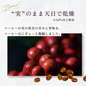 100-pack box of UCC Shokunin Special Blend, ideal for gifting or bulk use.