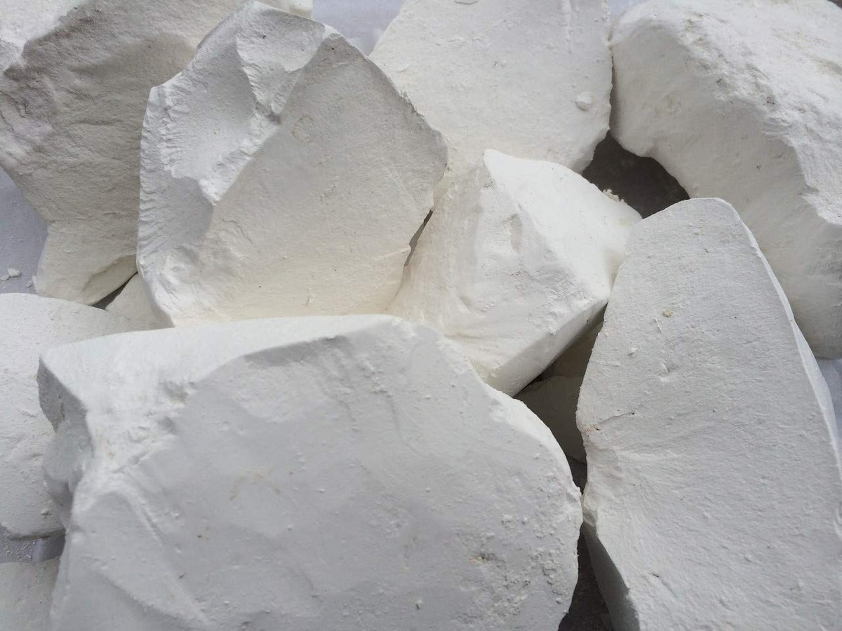 UCLAYS White Mountain chalk forming slurry when chewed for texture exploration