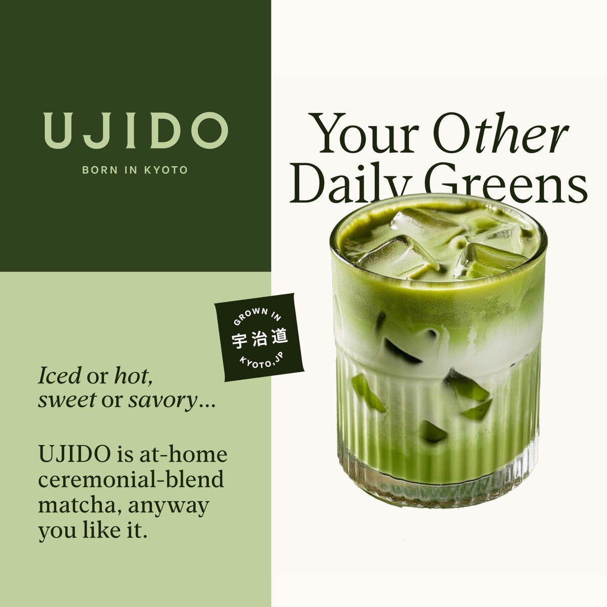 Ujido Path of Zen matcha in bowl emphasizing delicate texture and color