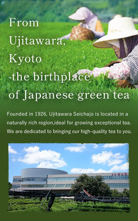 Ujitawara Seichajyo Kyo-no-hana rich umami for everyday tea rituals