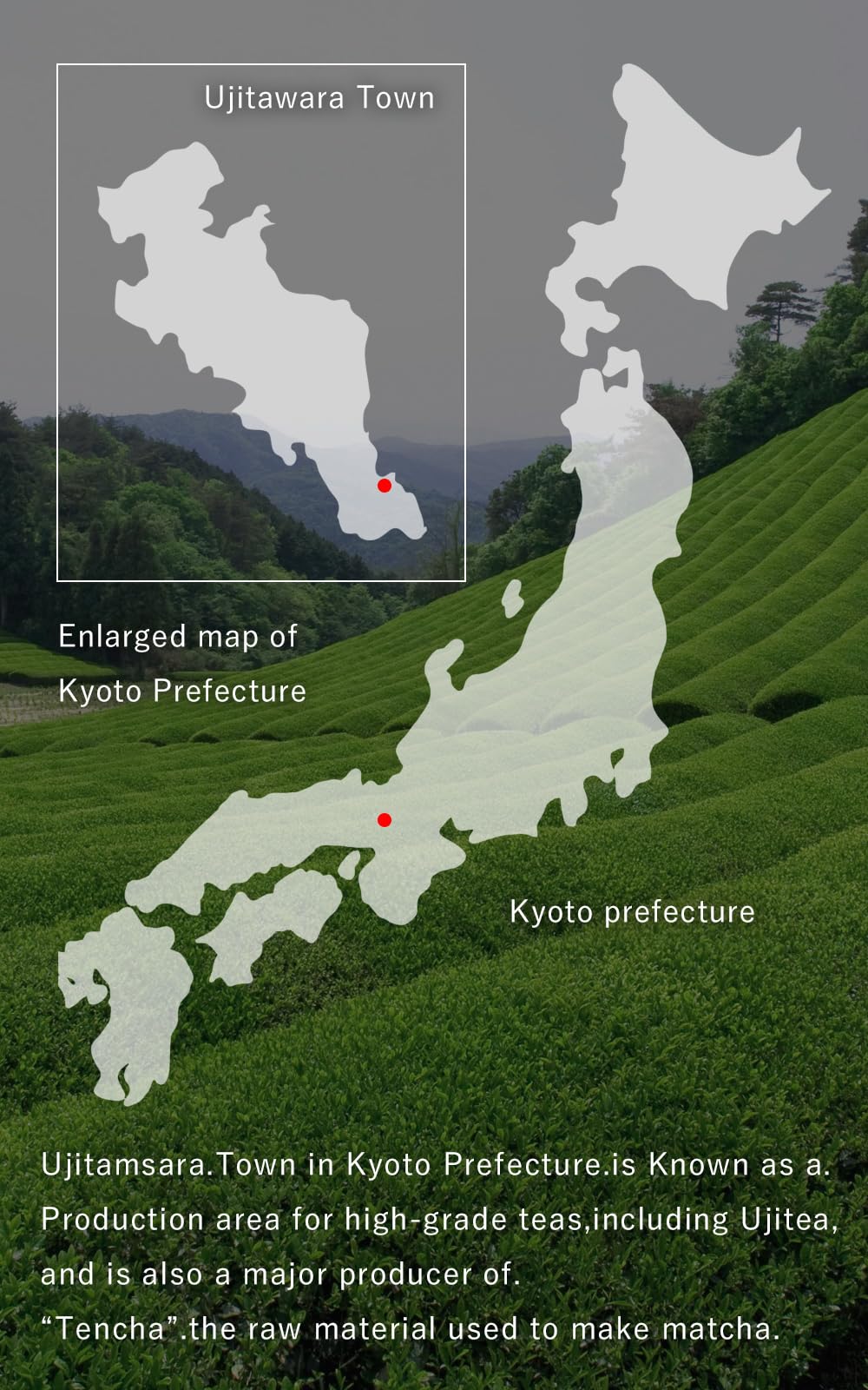 Ujitawara Seichajyo Kyo-no-hana stone mill preserves color and flavor