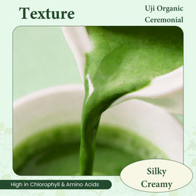 UJITYA ceremonial matcha powder in sealed tin preserving freshness and aroma