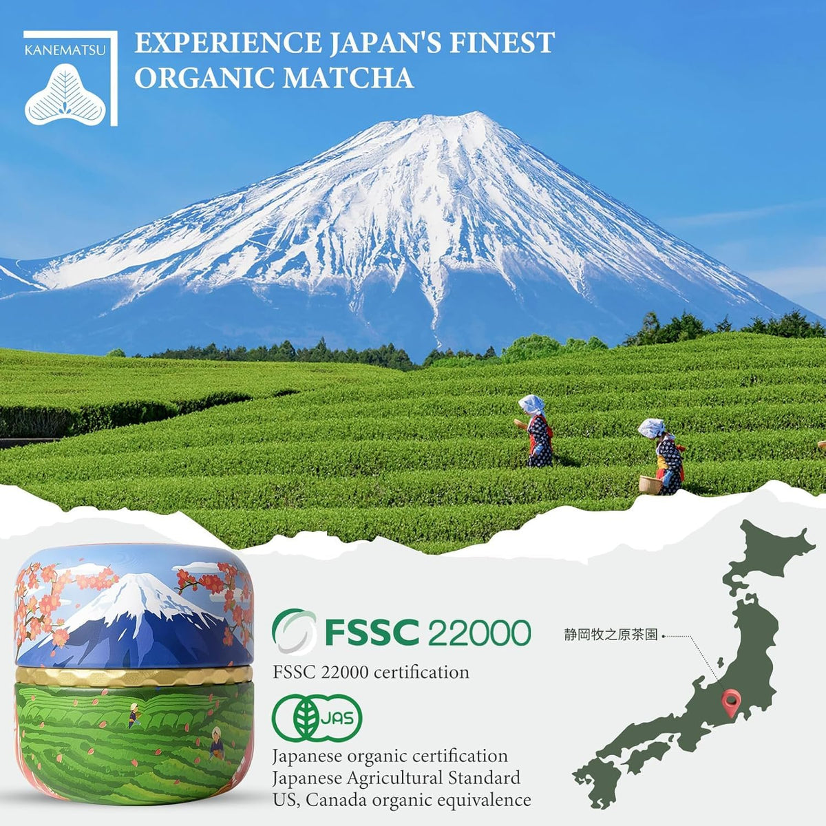 UJITYA pesticide-free first-flush leaves indicate clean flavor potential