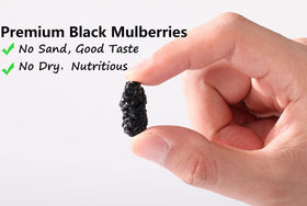 ULTHMOK large plump mulberries highlight premium texture.