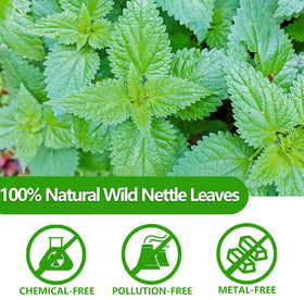 ULTHMOK nettle tea bags front foil pack for convenient caffeine-free option