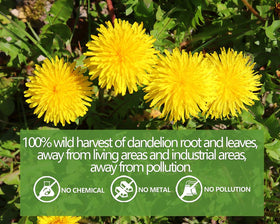 ULTHMOK organic dandelion roots and leaves from farm-grown ingredients for a natural caffeine-free option.