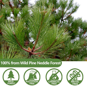ULTHMOK pine needle tea bags closeup reveals 100% wild-picked needles.