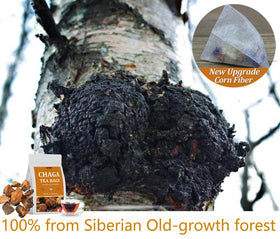 ULTHMOK premium chaga tea packets showcasing wild harvest quality