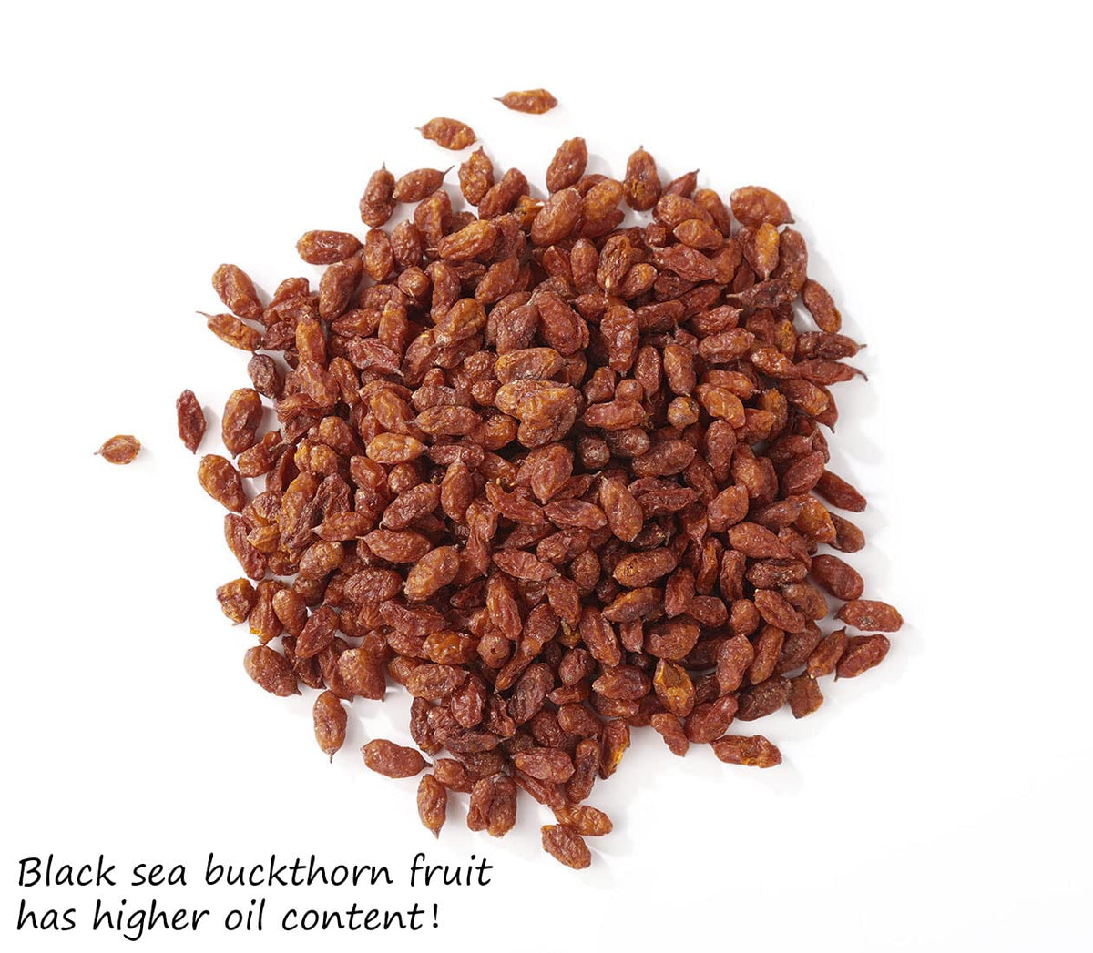 ULTHMOK sun dried sea buckthorn berries ready to snack or brew