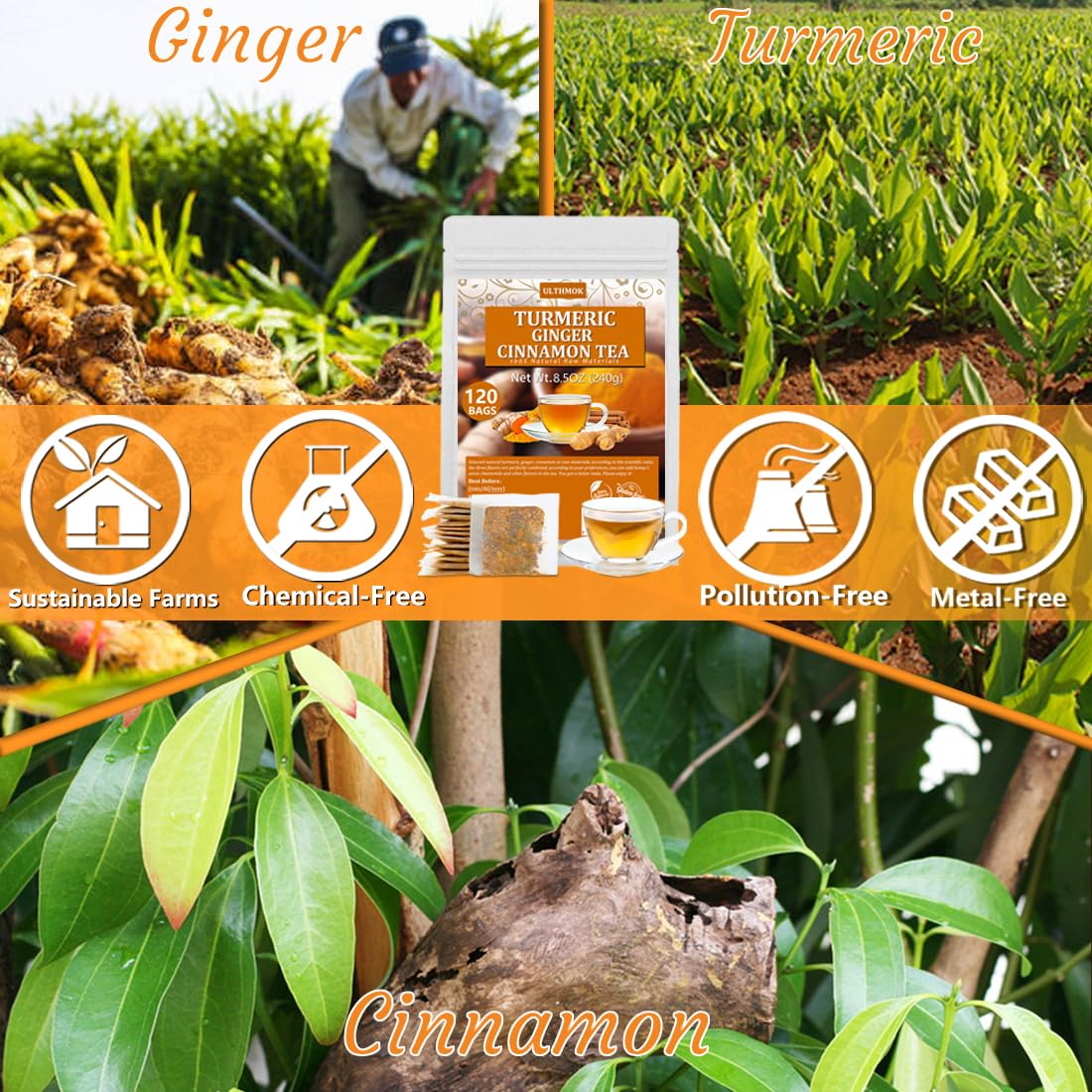 ULTHMOK close-up of turmeric, ginger, and cinnamon ingredients