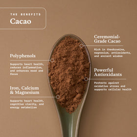 Ultra Life Sport ceremonial cacao powder in a bowl ready for a warm drink.