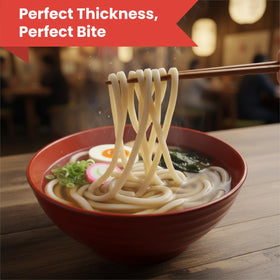 UNHA'S ASIAN SNACK BOX cold noodle salad udon highlighting refreshing, versatile use.