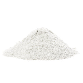 Unpretentious Baker’s Ammonia cookies showing crisp edges and delicate crumb.