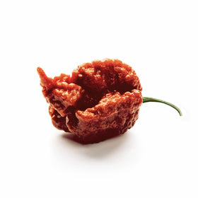 Unpretentious Carolina Reaper chiles provide extreme heat for bold recipes.